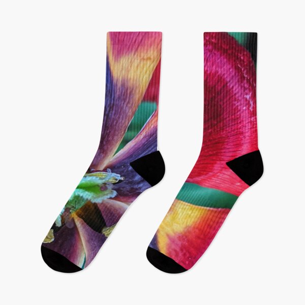 Item preview, Rainbow Tulip designed and sold by dragonbee.