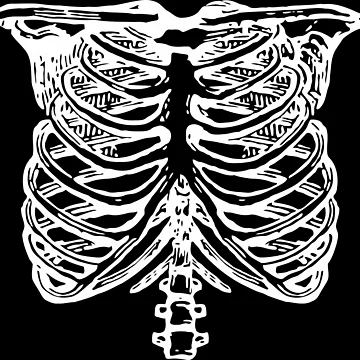 Artwork thumbnail, Human Rib by RavickPablo