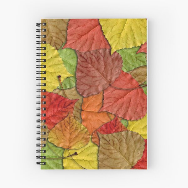 Item preview, Fall leaves designed and sold by rafo.