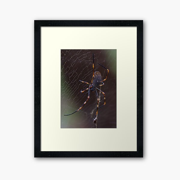 Kattang Nature Reserve Framed Art Print