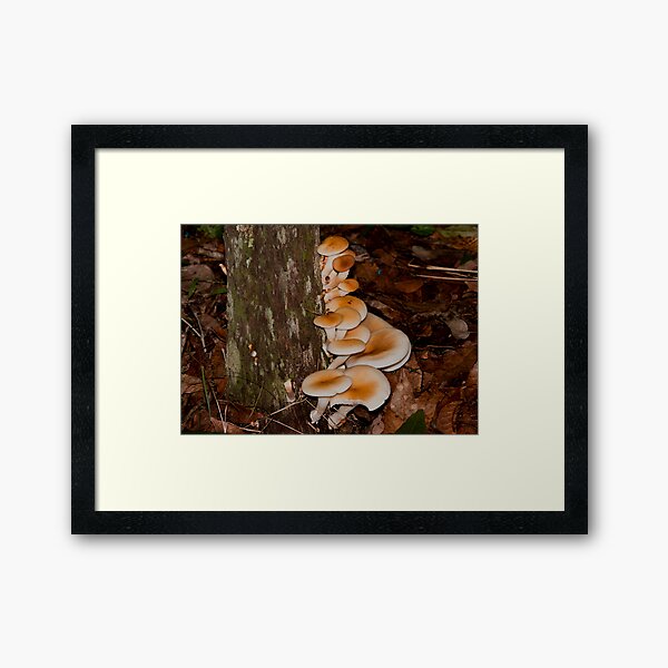 Kattang Nature Reserve Framed Art Print