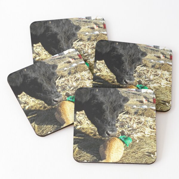 Item preview, Thunder Paws the Leprechaun designed and sold by JobieMom.