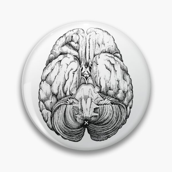 Item preview, Anatomical brain designed and sold by agakubish.