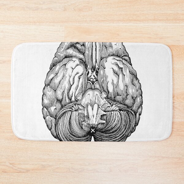 Item preview, Anatomical brain designed and sold by agakubish.