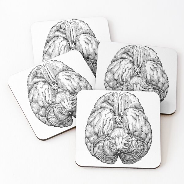 Item preview, Anatomical brain designed and sold by agakubish.