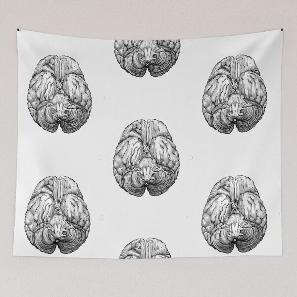 Item preview, Anatomical brain designed and sold by agakubish.
