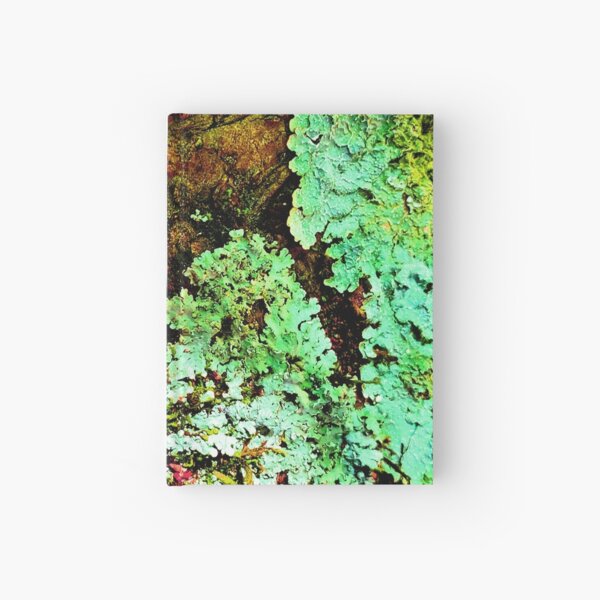 I lichen you 2! Classy Camo Hardcover Journal