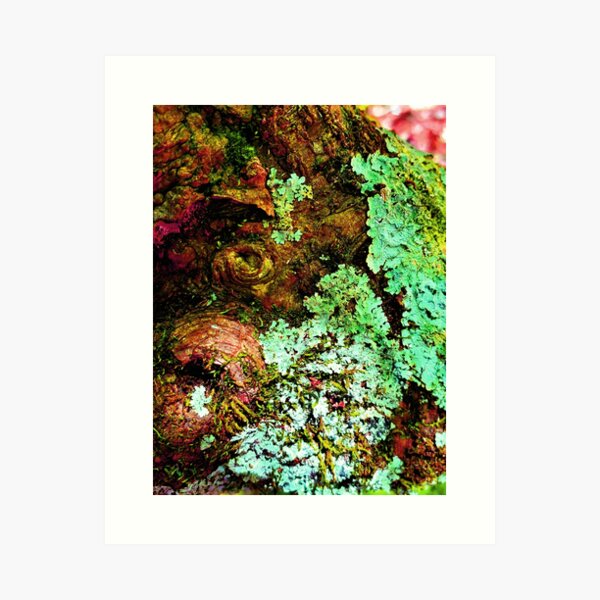 I lichen you 2! Classy Camo Art Print