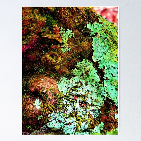 I lichen you 2! Classy Camo Poster