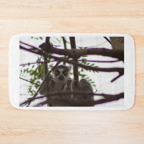 Item preview, Caught designed and sold by Wayne Thomson.