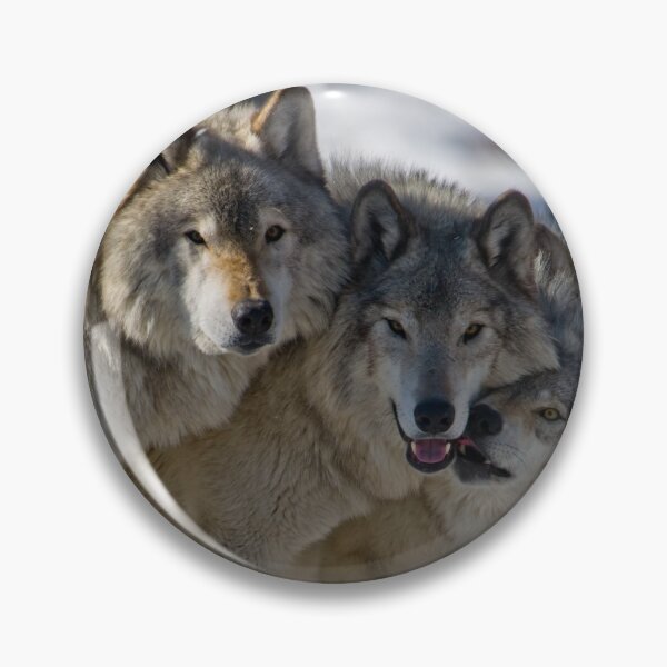 Item preview, Wolf Pack designed and sold by Michael Cummings.