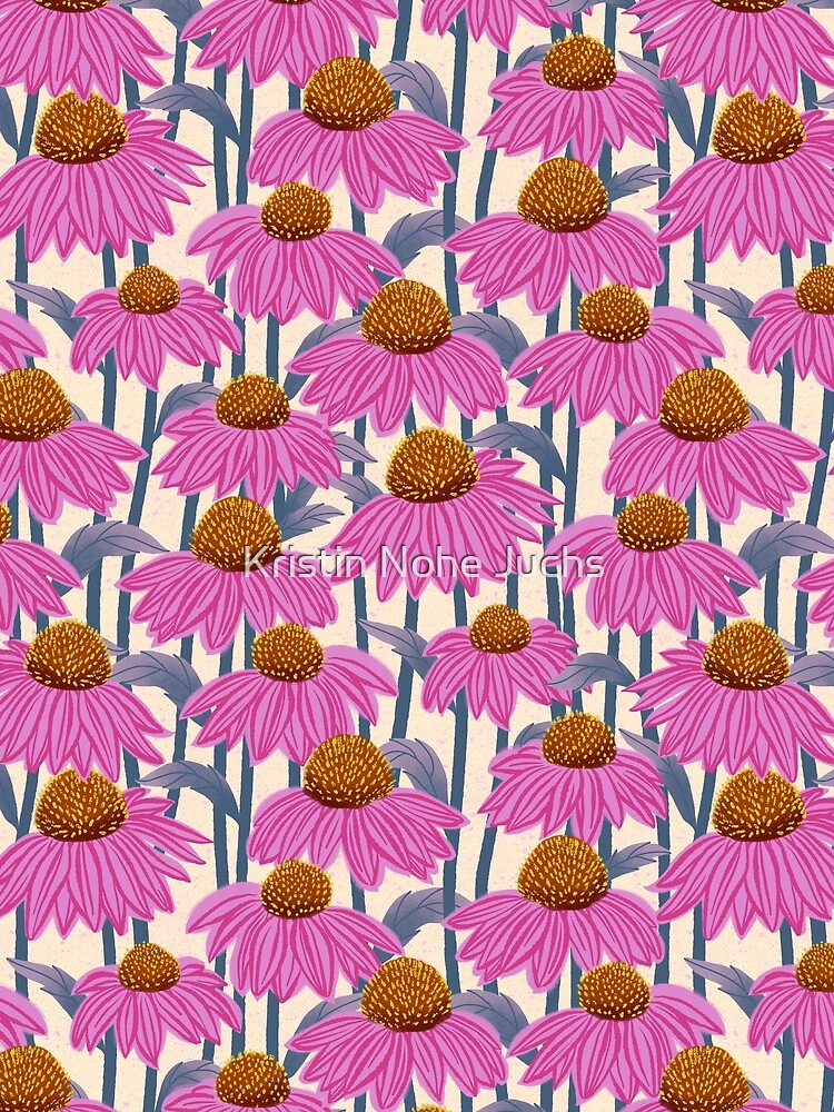 ECHINACEA by kristinnohe