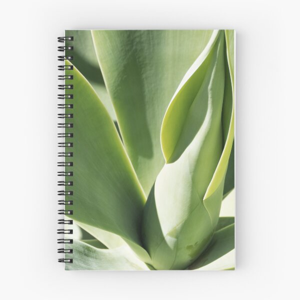 Item preview, Agave Fox Tail designed and sold by Lynn Bolt.