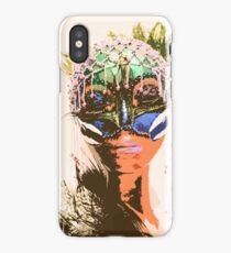 Feathers and Beads iPhone Case