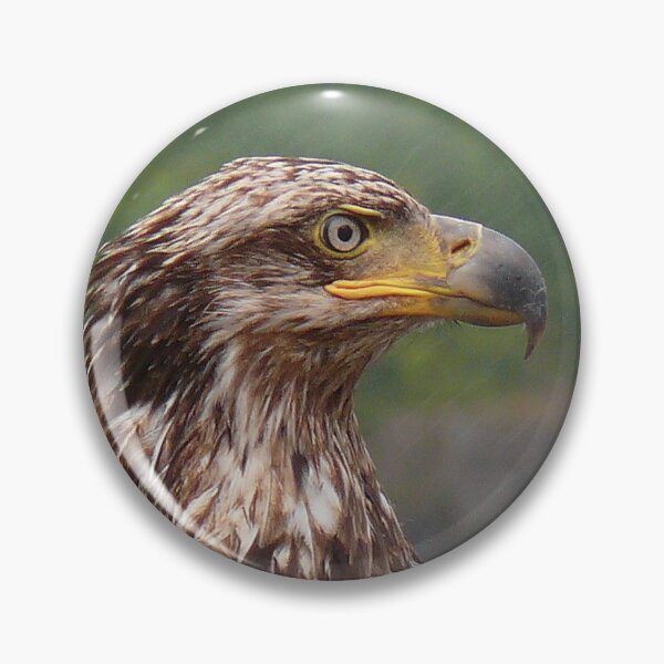 Item preview, Profile Of An Eagle designed and sold by Gail Bridger.