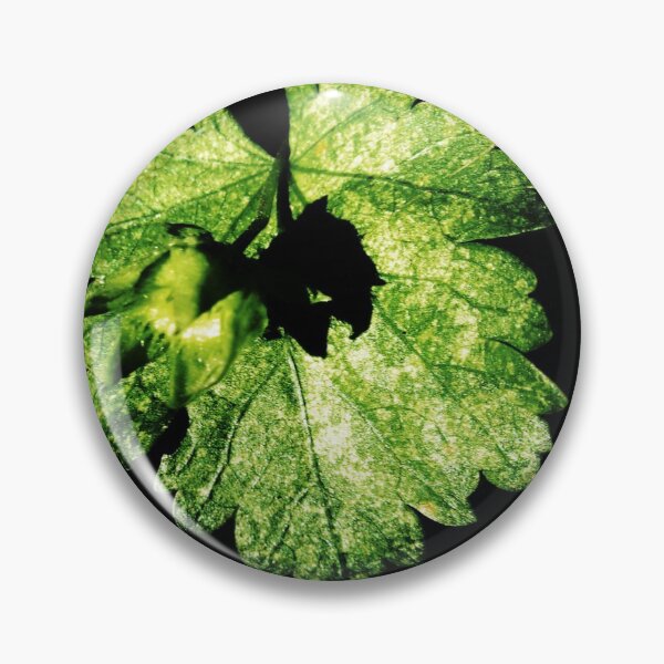 Item preview, A Strawberry Leaf In Lock Down 05/01/20 13:12 designed and sold by Mark Polk.