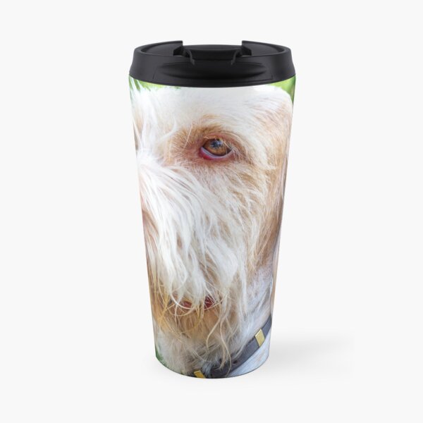 Orange and White Italian Spinone Dog Head Shot Travel Mug