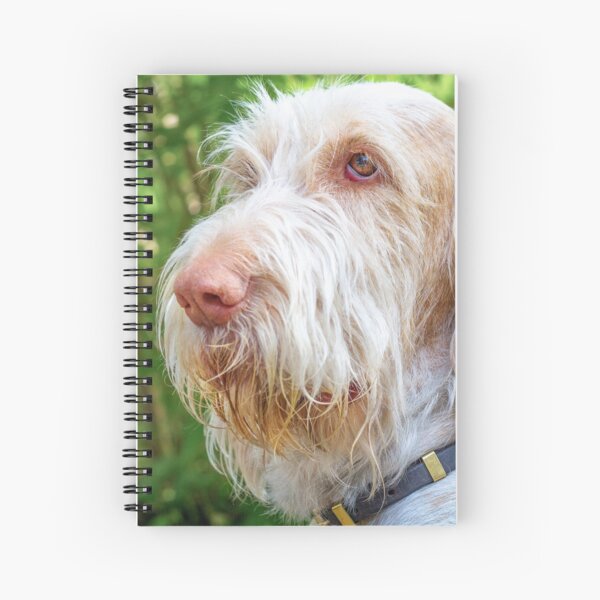 Thinking thoughts Spinone Spiral Notebook