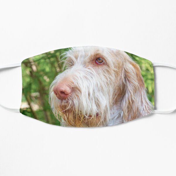 Orange and White Italian Spinone Dog Head Shot Mask