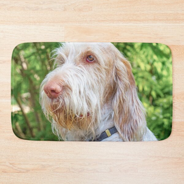 Item preview, Thinking thoughts Spinone by heidiannemorris designed and sold by FOLK ART FUSION by heidiannemorris.