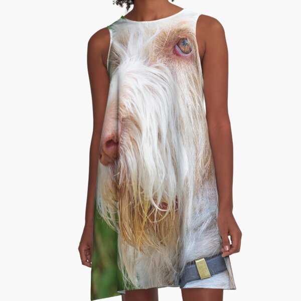 Thinking thoughts Spinone A-Line Dress