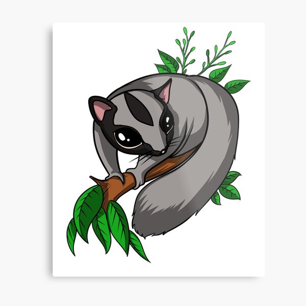 Sugar Glider On A Branch Metal Print
