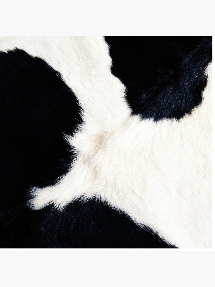 Cowhide in Black and White by cadinera