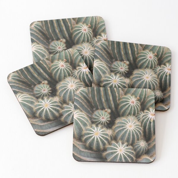 Item preview, Cacti at the Serres d'Auteuil Botanical Gardens designed and sold by Photos by Michael J. Mesmer.