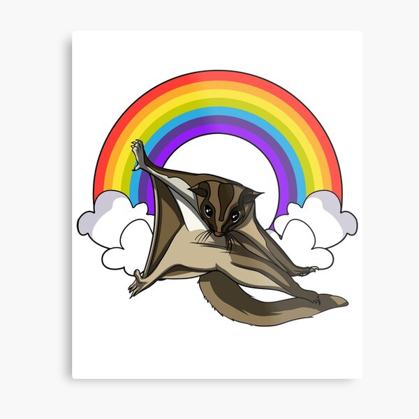 Sugar Glider Rainbow Metal Print