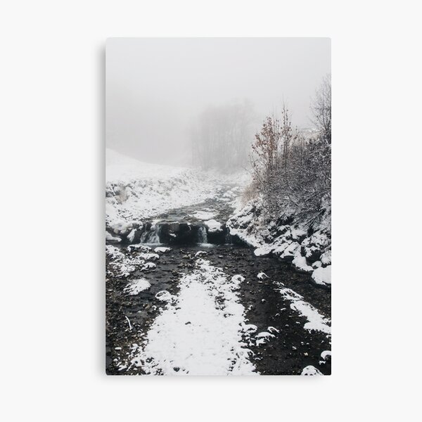 Creek Wonder | Nature and Landscape Photography Canvas Print
