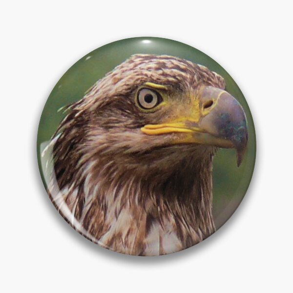 Item preview, Portrait Of An Eagle 2 designed and sold by Gail Bridger.