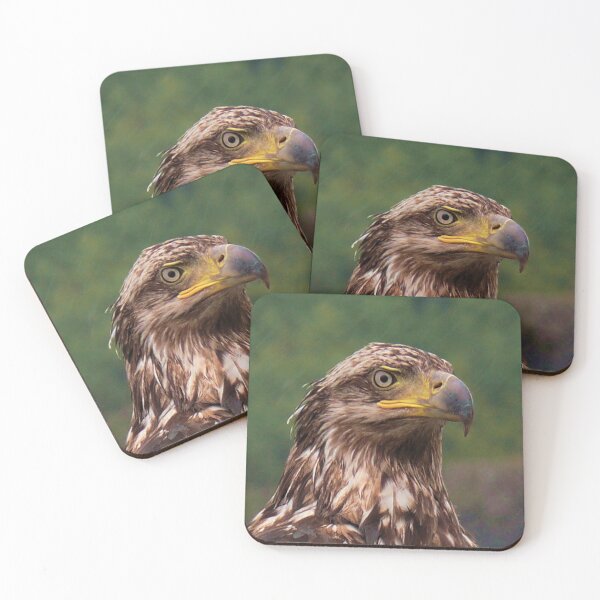Item preview, Portrait Of An Eagle 2 designed and sold by Gail Bridger.