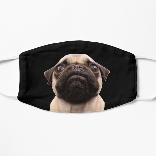 Pug print ,pug mask ,quarantine pug Mask