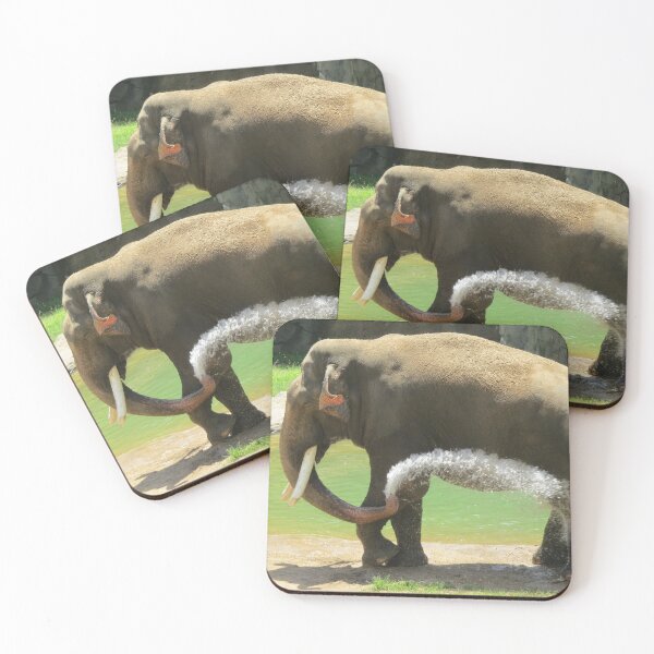 Item preview, Asian Elephant Spike at the National Zoo designed and sold by Zoo and Nature Photography by Karie.