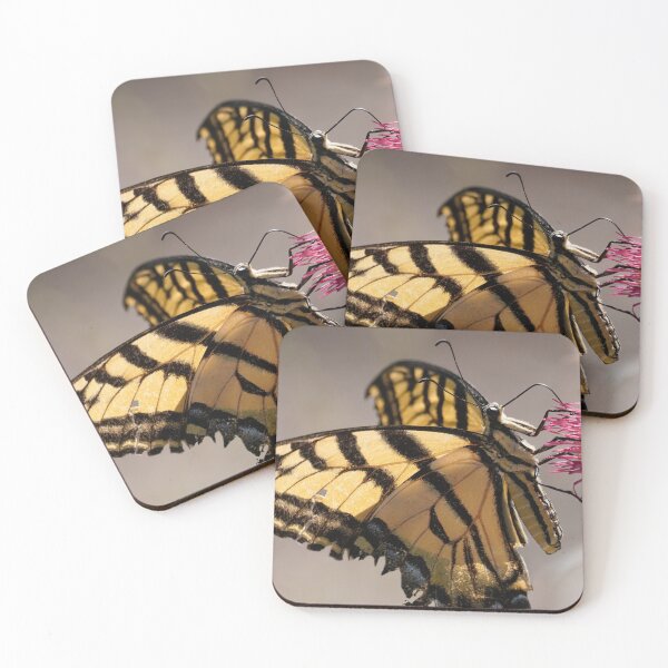 Item preview, Swallowtail Butterfly Drinking Pollen from a Desert Flower designed and sold by MomentofPercep.