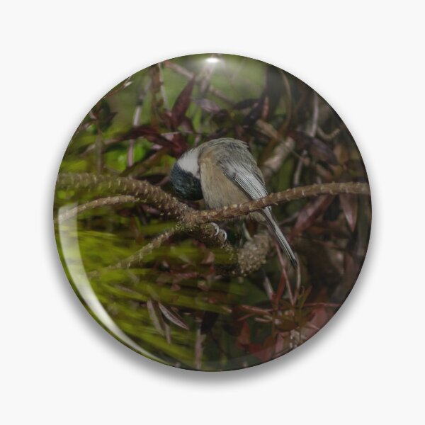 Item preview, Poecile Carolinensis designed and sold by KensLensDesigns.