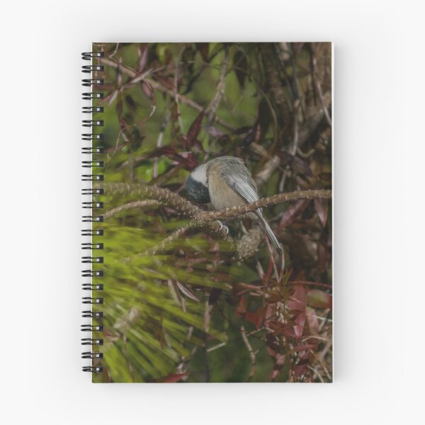 Item preview, Poecile Carolinensis designed and sold by KensLensDesigns.