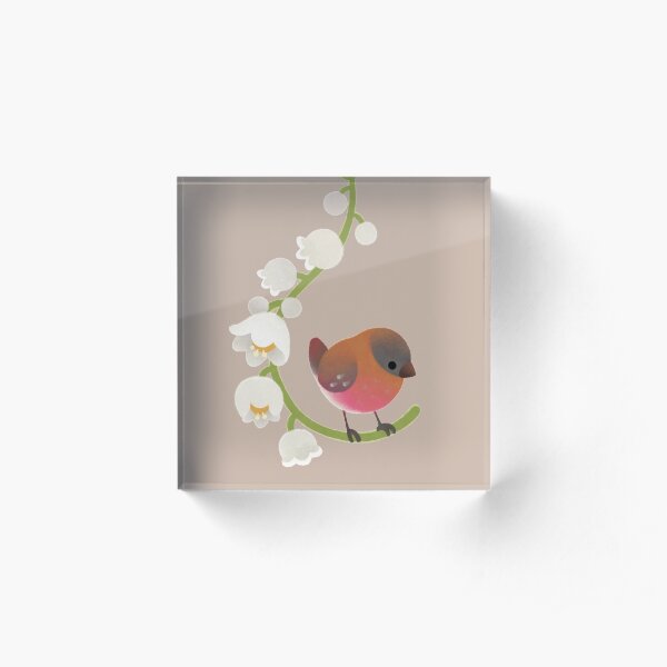 Brown capped rosy finch Acrylic Block