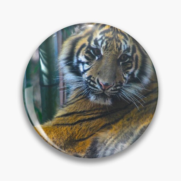 Item preview, Tiger, Tiger designed and sold by Barbara  Brown.