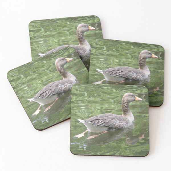Item preview, Greylag Goose Paddling on the Lake Photograph designed and sold by naturegallery.