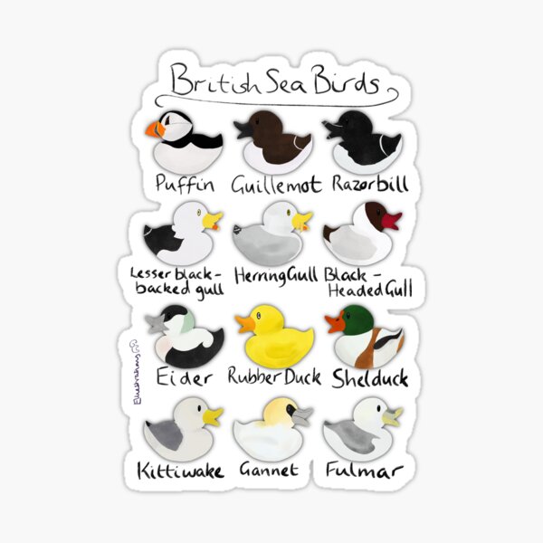 Item preview, British Sea Birds  designed and sold by Elliestrations.