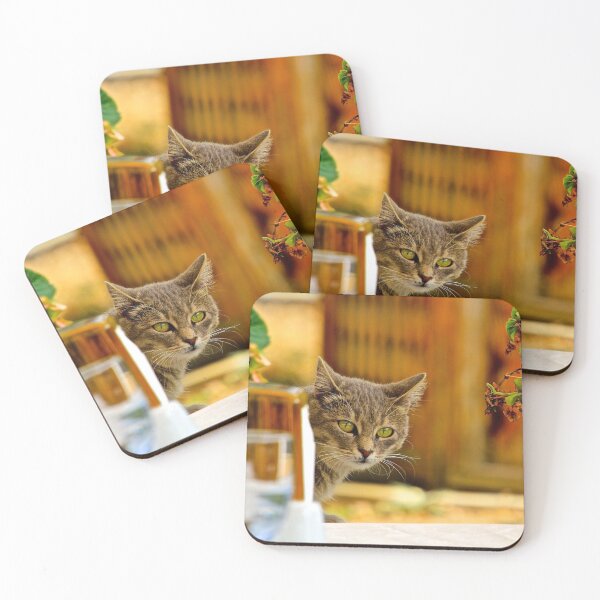Item preview, Lunch Companion designed and sold by Barbara Brown.