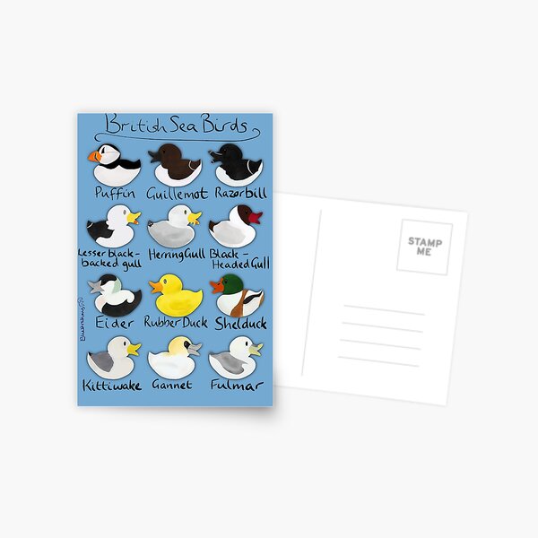 Item preview, British Sea Birds  designed and sold by Elliestrations.