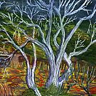 Cottonwoods of Box Canyon, Arizona. by Jack Bybee