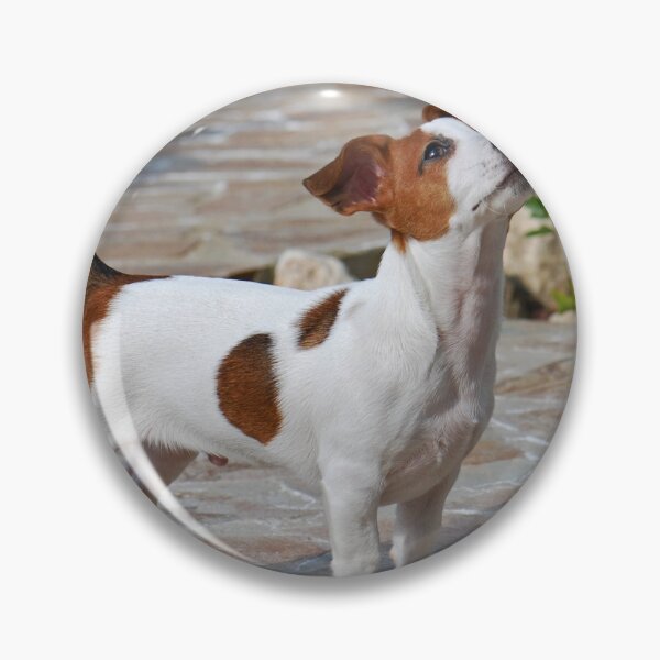 Item preview, Jack Russel Puppy designed and sold by TheTwinBros.