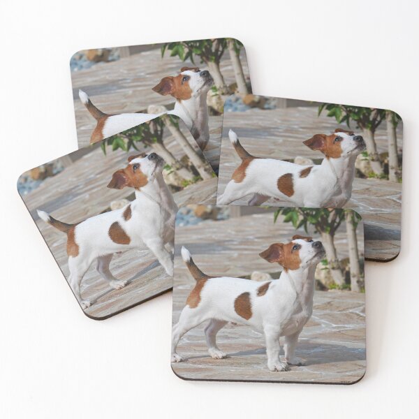 Item preview, Jack Russel Puppy designed and sold by TheTwinBros.