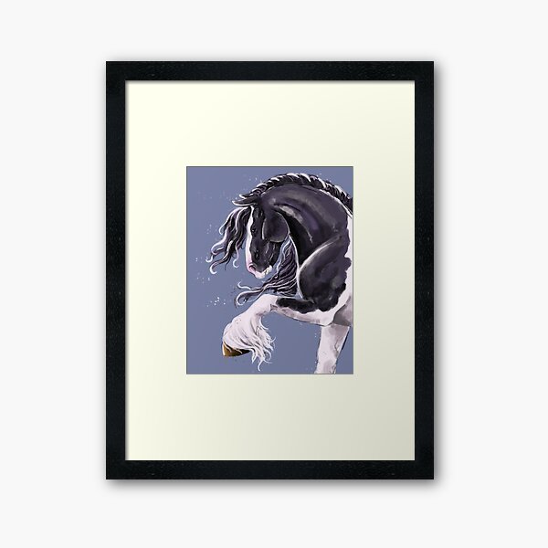 Gypsy cob horse Framed Art Print