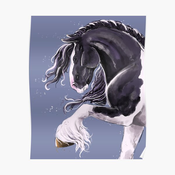 Gypsy cob horse Poster