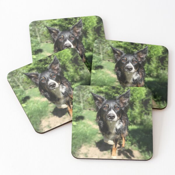 Item preview, Skye The Border Collie designed and sold by PixlPixi.