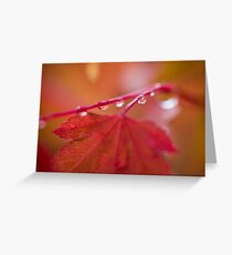 Autumn Leave III Greeting Card